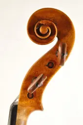Schnecke seitlich